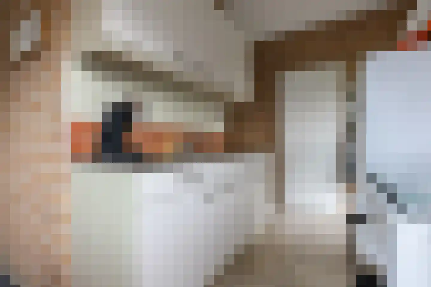 Rekerlanden 187 Warmenhuizen thumbnail 5