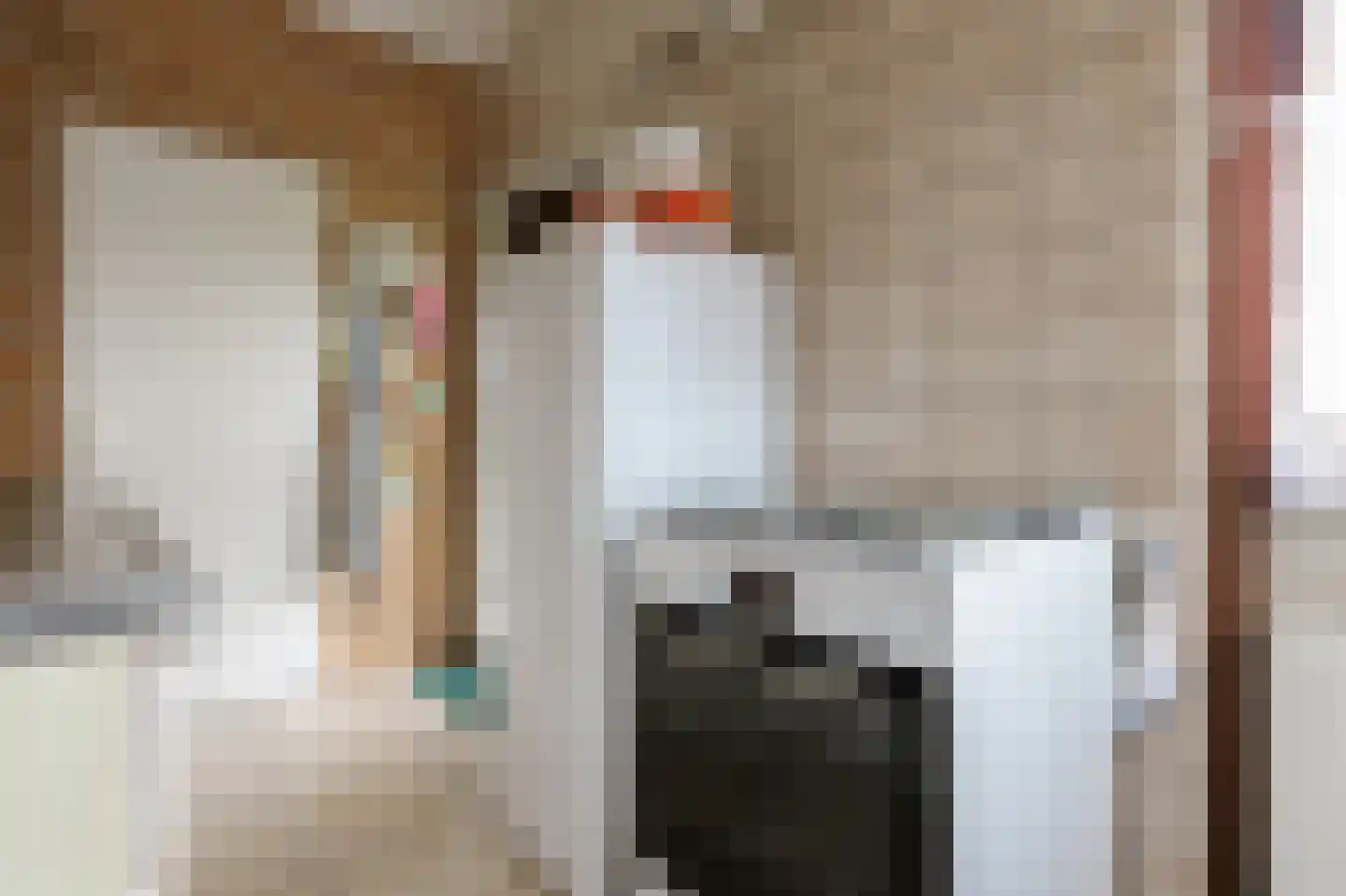 Rekerlanden 187 Warmenhuizen thumbnail 6