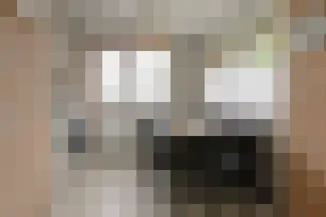 Rekerlanden 187 Warmenhuizen thumbnail 7