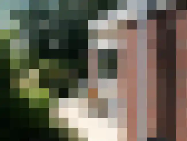 Rekerlanden 195 Warmenhuizen thumbnail 16