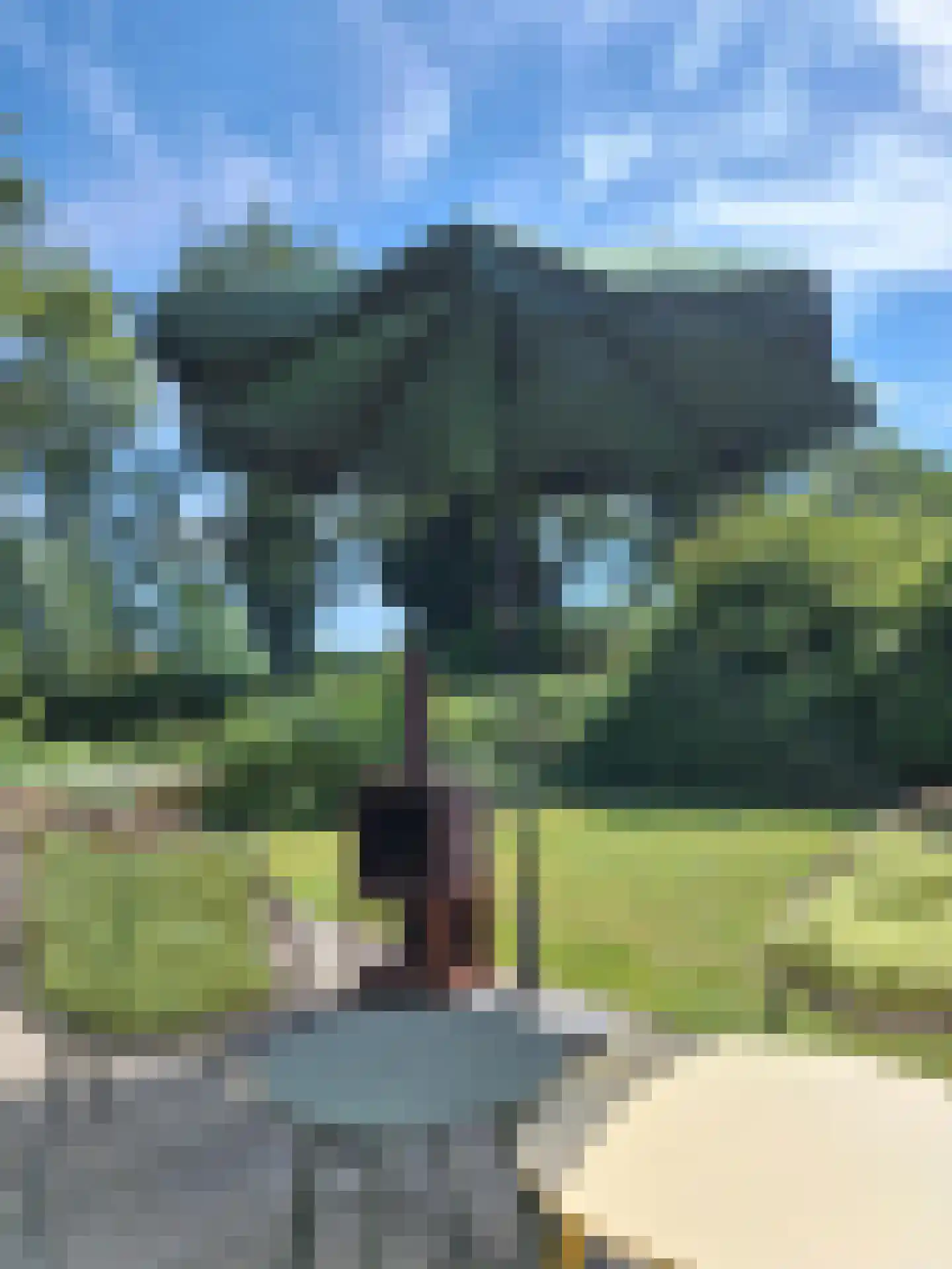 Rekerlanden 195 Warmenhuizen thumbnail 17