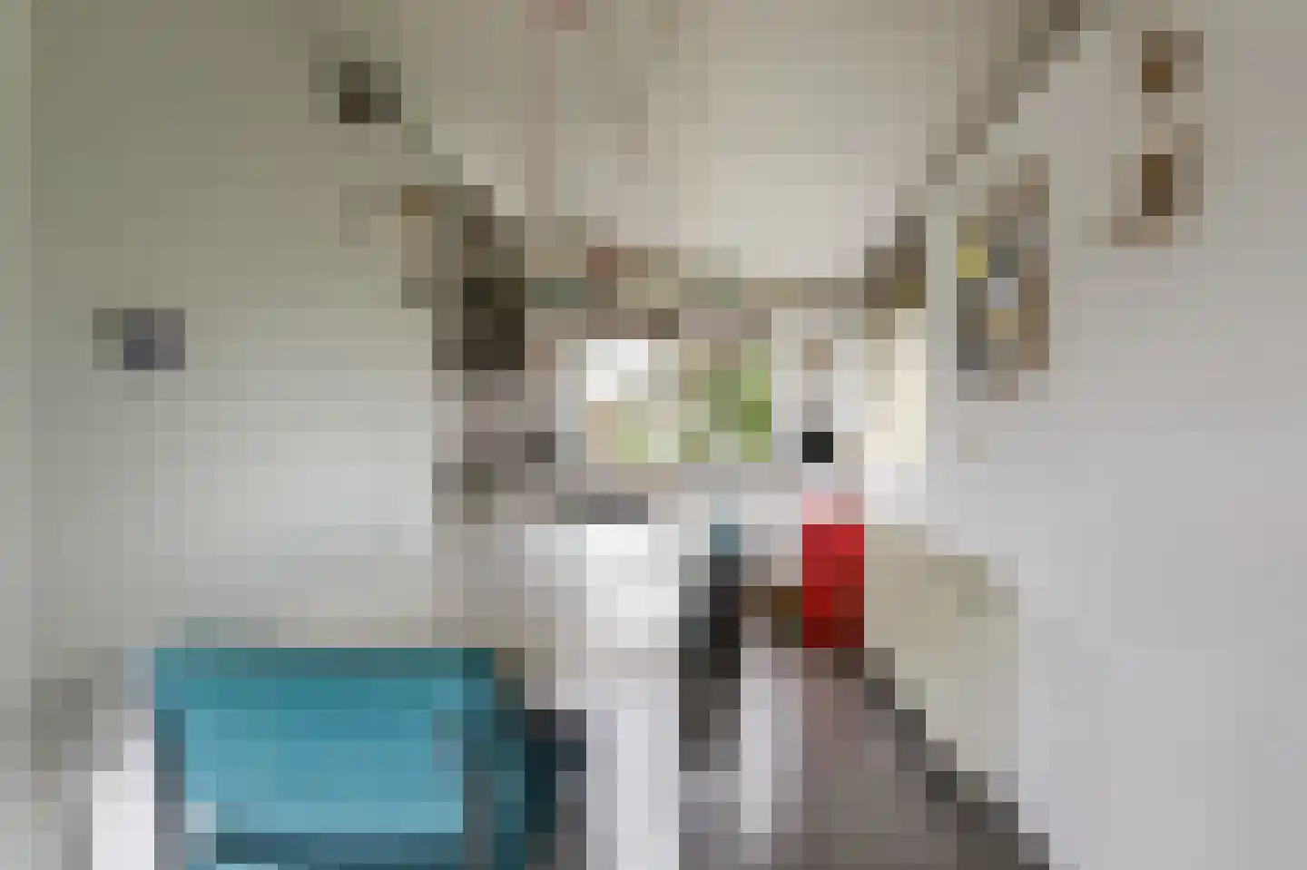 Rekerlanden 195 Warmenhuizen thumbnail 7