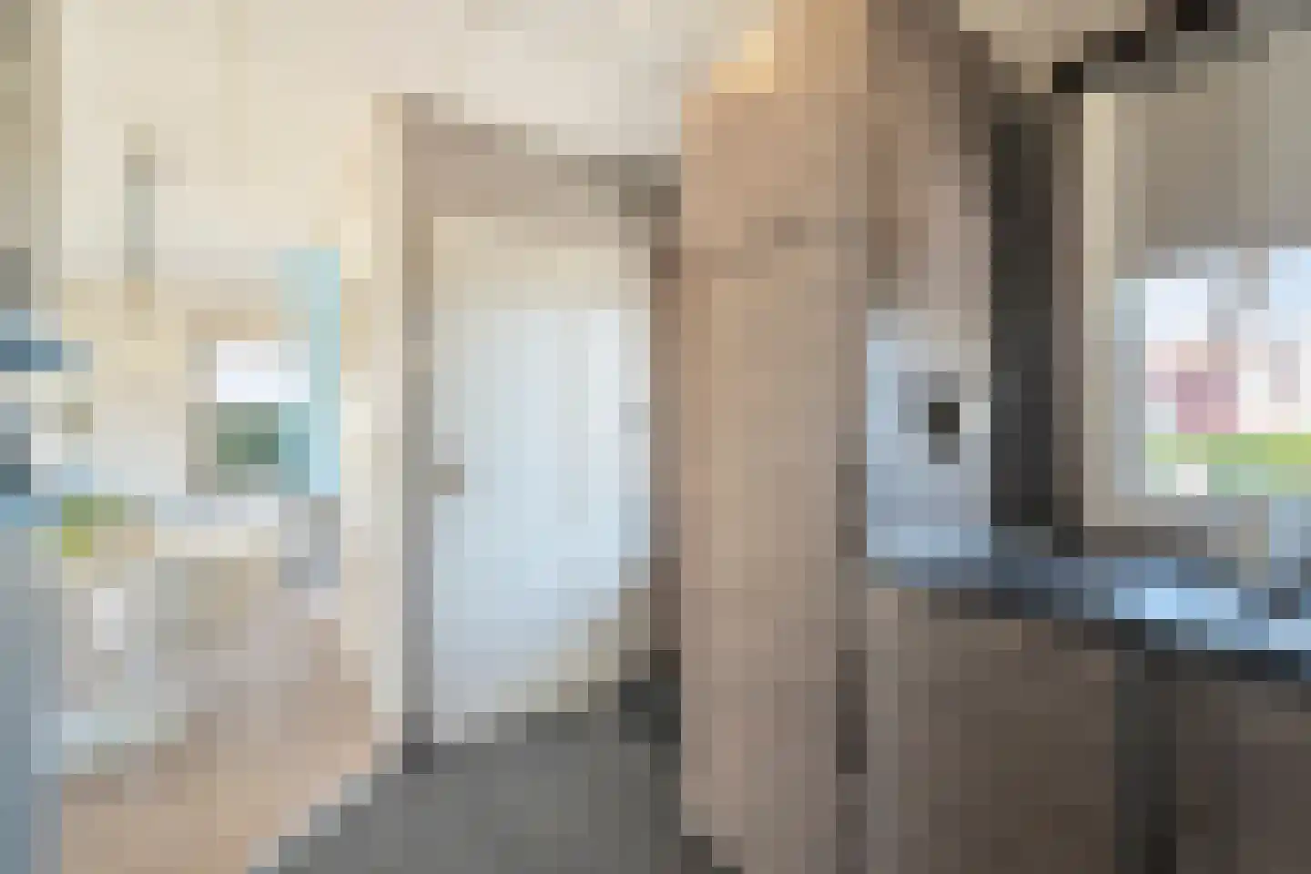 Rekerlanden 228 Warmenhuizen thumbnail 14