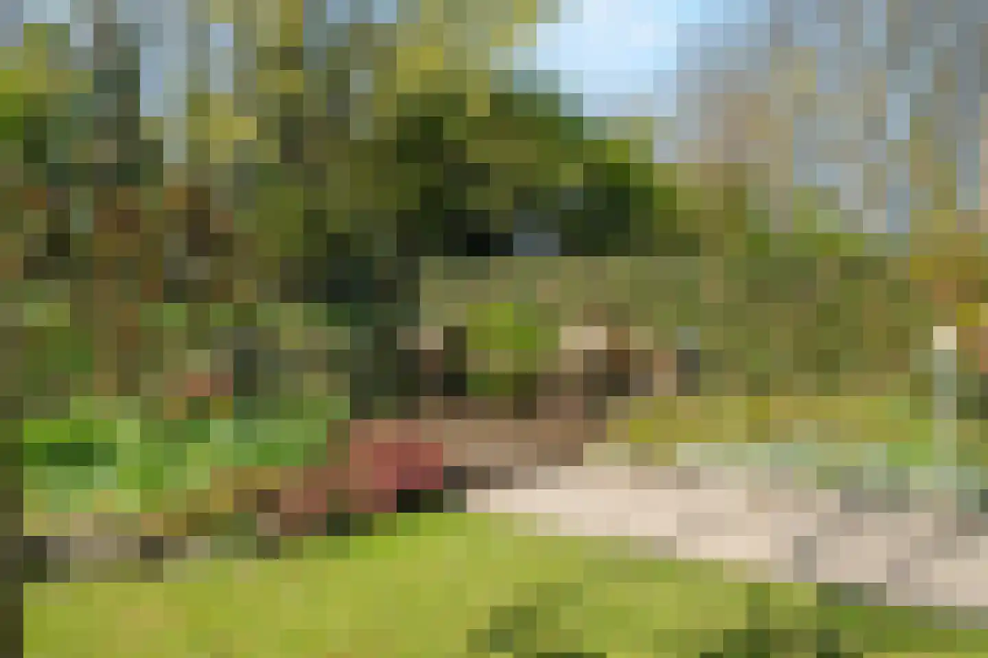 Rekerlanden 228 Warmenhuizen thumbnail 31