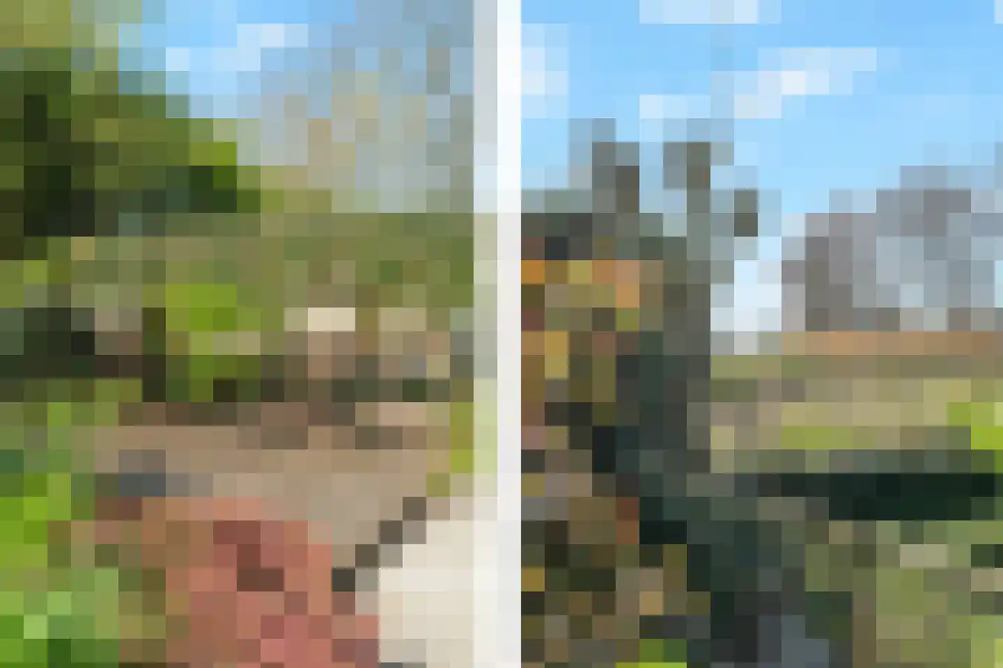 Rekerlanden 228 Warmenhuizen thumbnail 32
