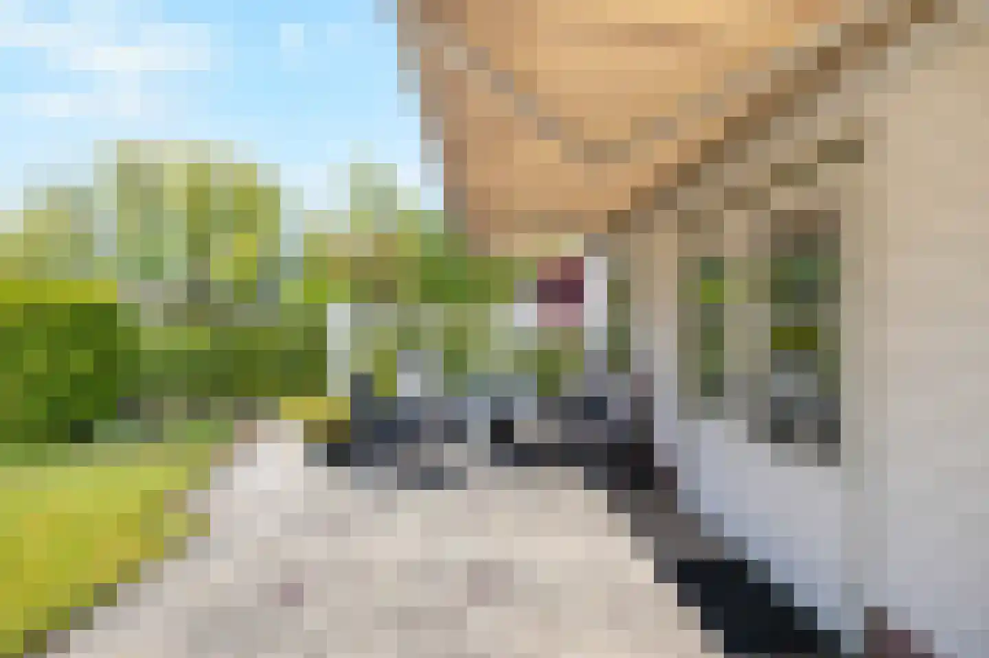 Rekerlanden 232 Warmenhuizen thumbnail 17