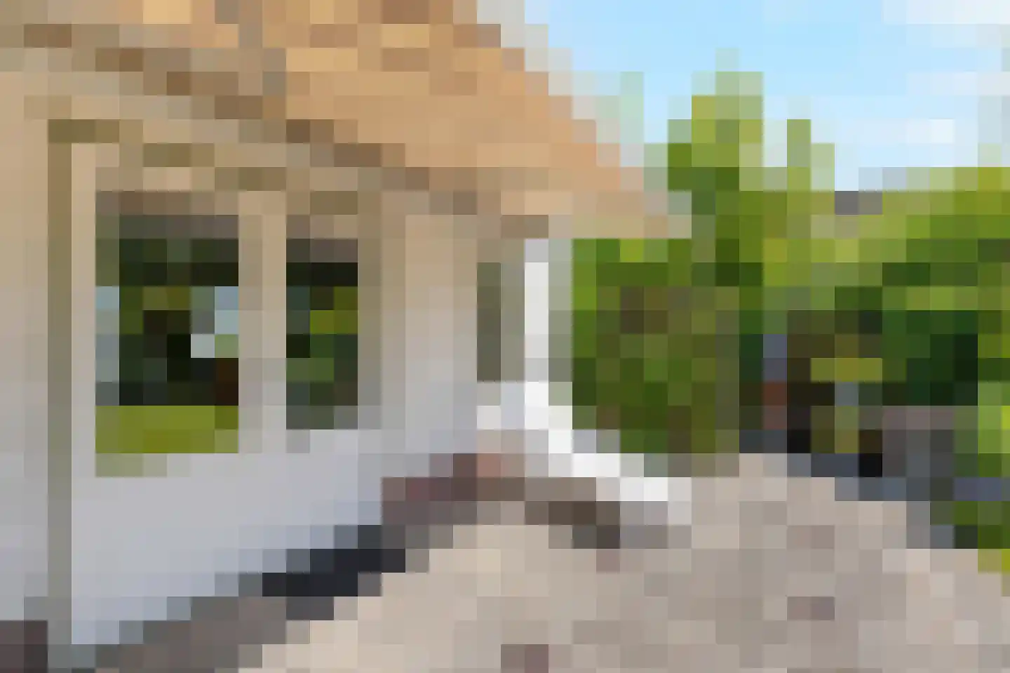 Rekerlanden 232 Warmenhuizen thumbnail 18
