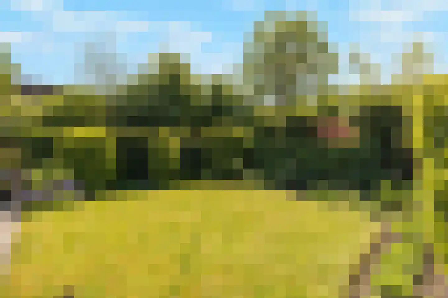Rekerlanden 232 Warmenhuizen thumbnail 25