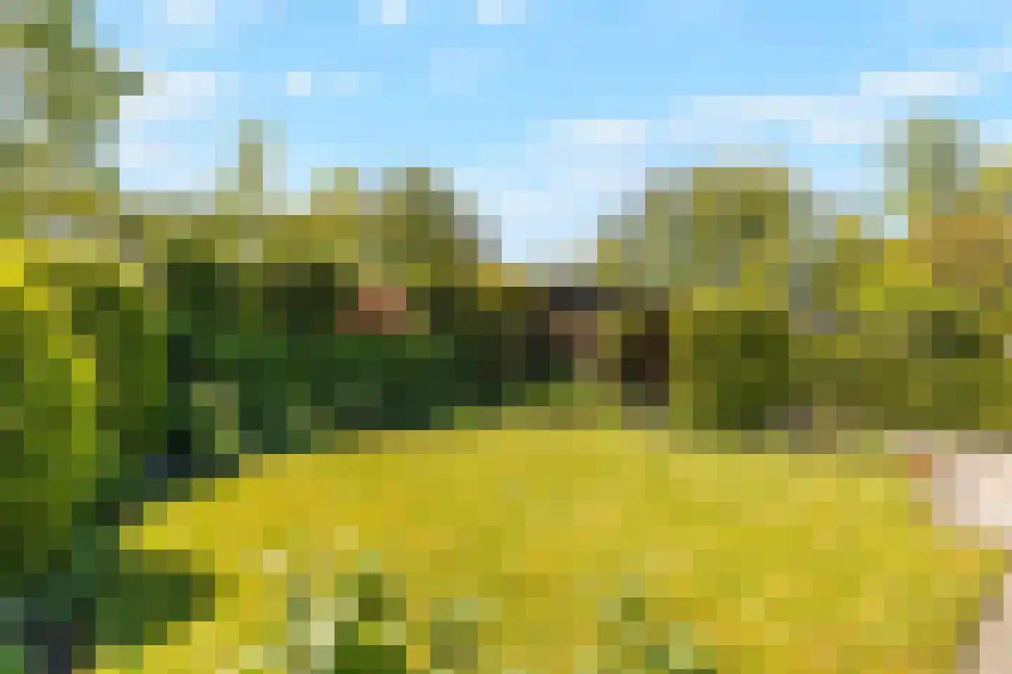 Rekerlanden 232 Warmenhuizen thumbnail 26