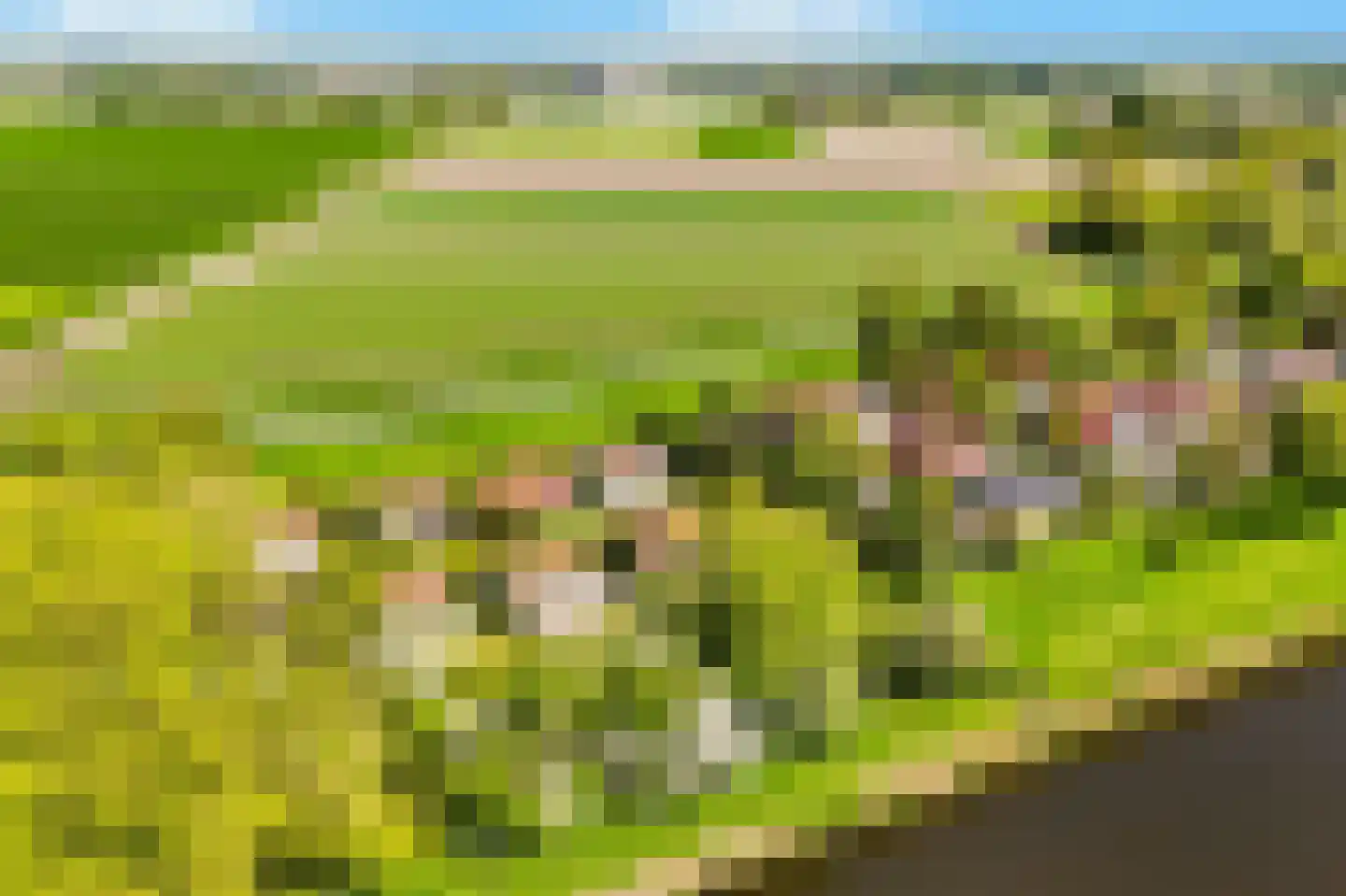Rekerlanden 232 Warmenhuizen thumbnail 31