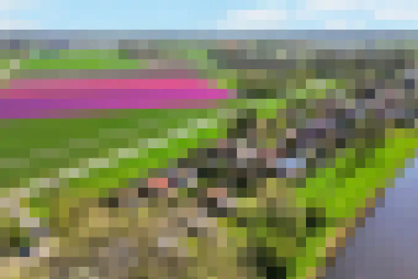 Rekerlanden 232 Warmenhuizen thumbnail 32