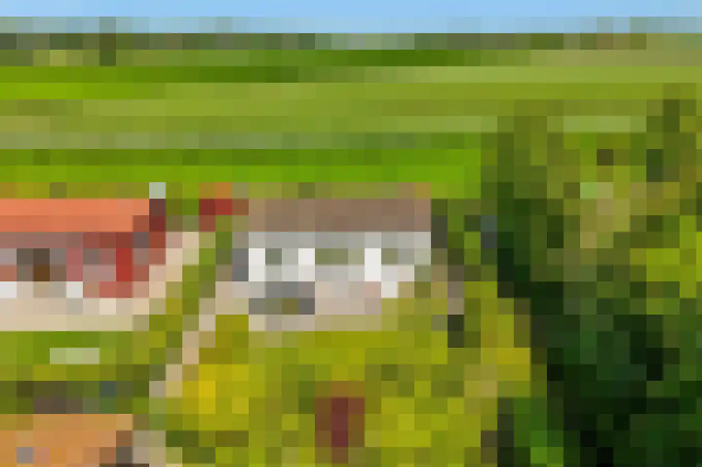 Rekerlanden 232 Warmenhuizen thumbnail 35