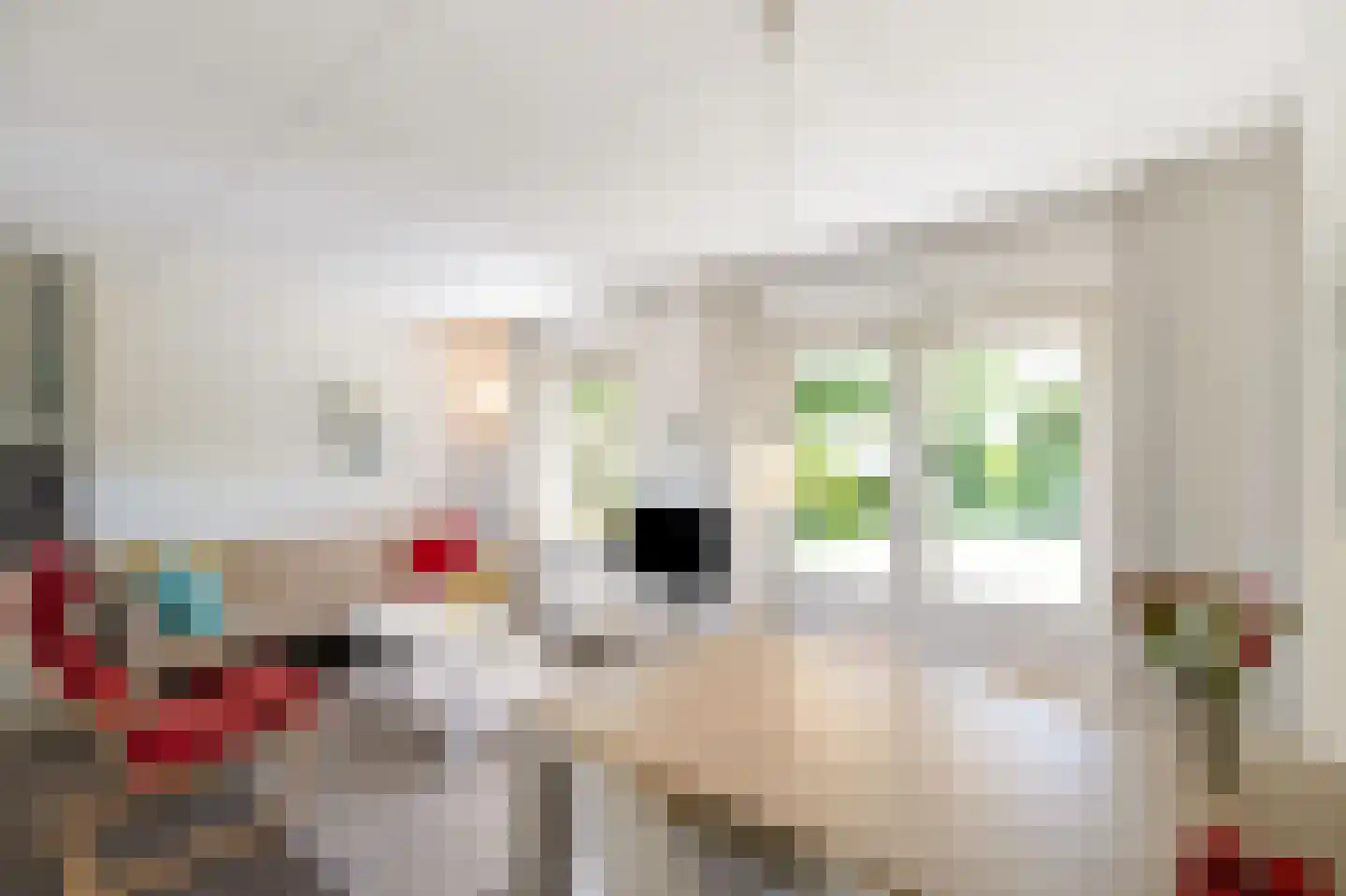 Rekerlanden 232 Warmenhuizen thumbnail 5