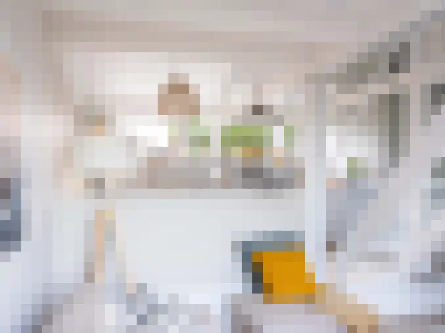Rekerlanden 24 Warmenhuizen thumbnail 12