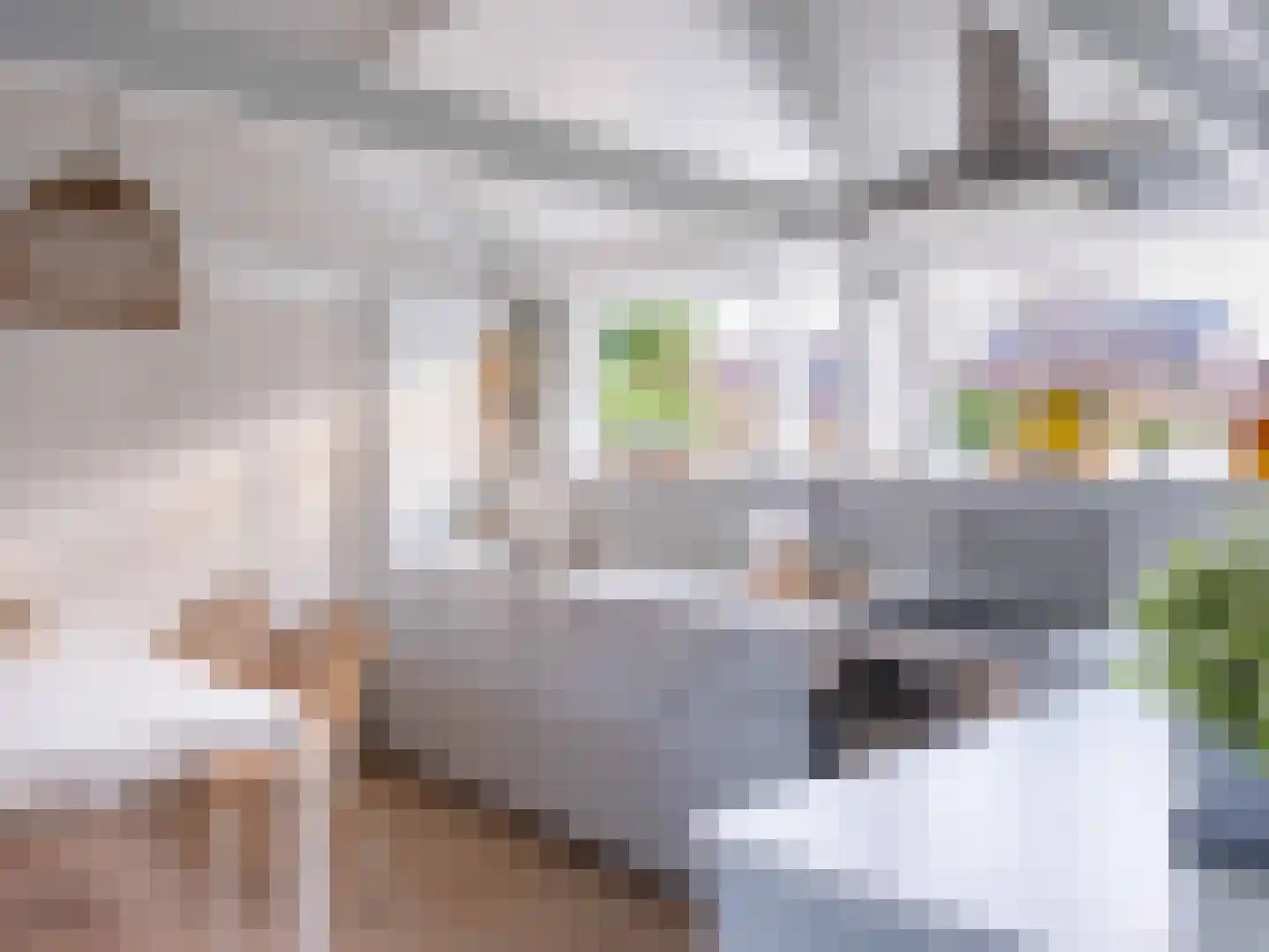 Rekerlanden 24 Warmenhuizen thumbnail 4