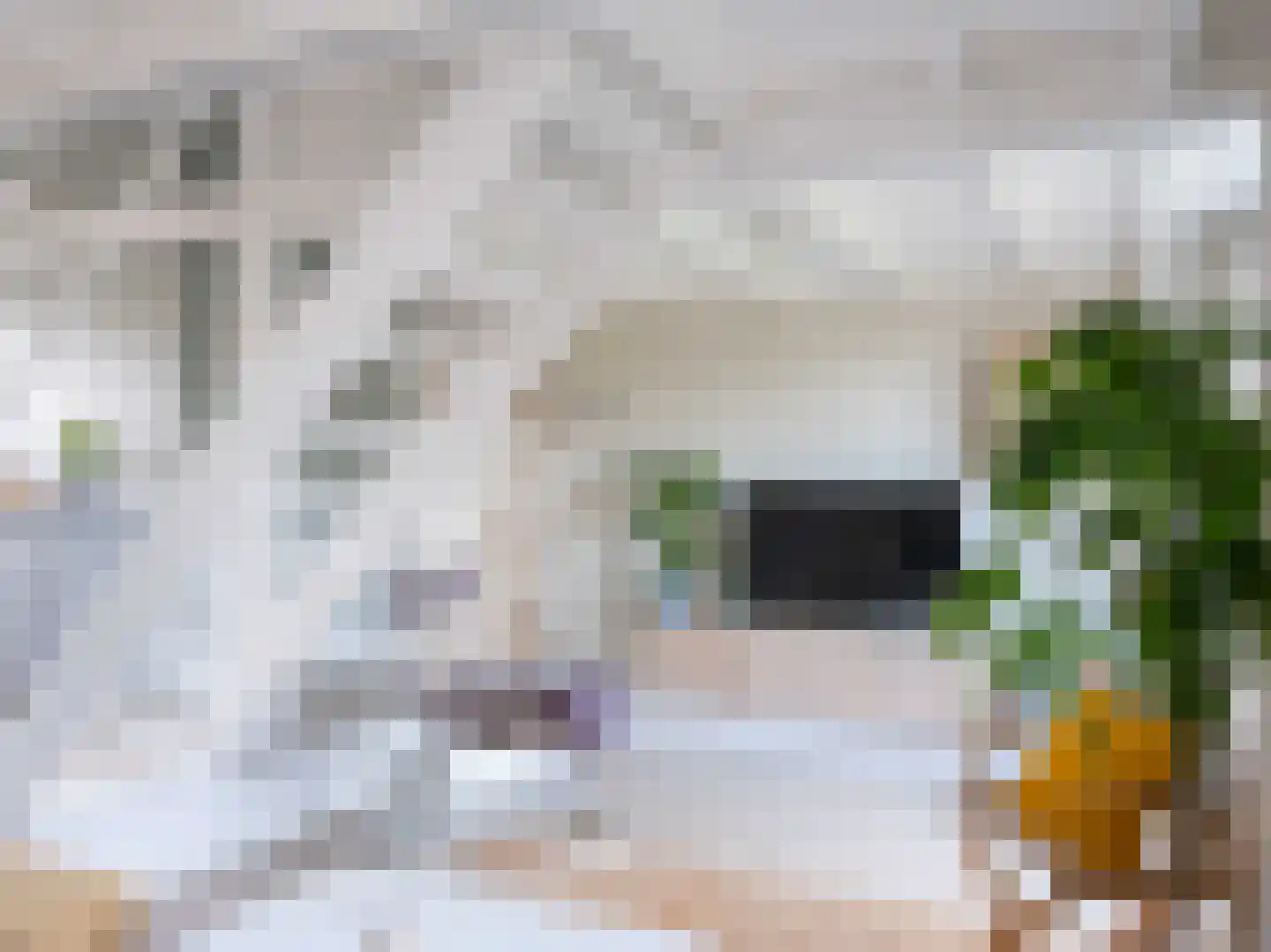 Rekerlanden 24 Warmenhuizen thumbnail 7