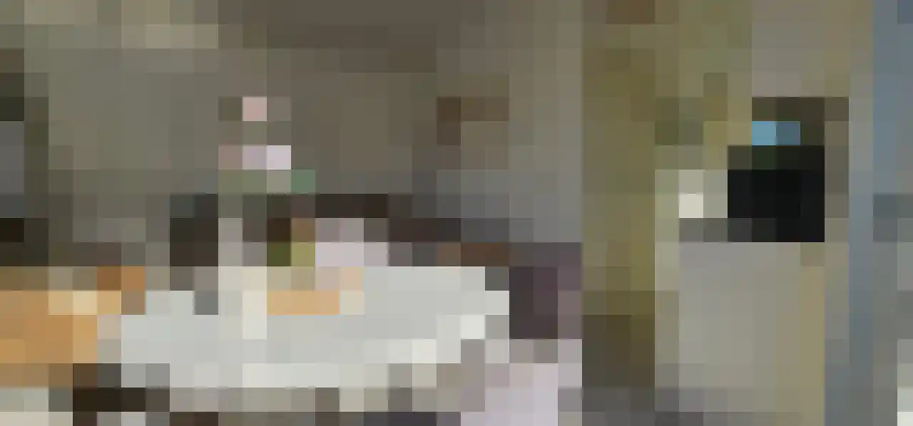 Rekerlanden 243 Warmenhuizen thumbnail 10