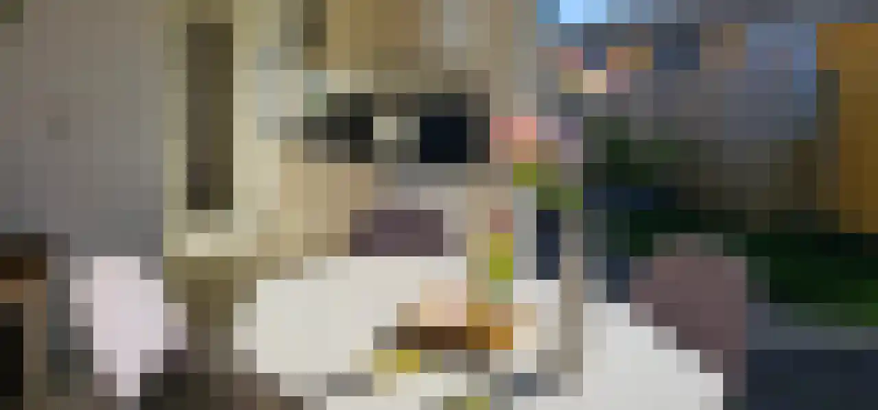 Rekerlanden 243 Warmenhuizen thumbnail 11