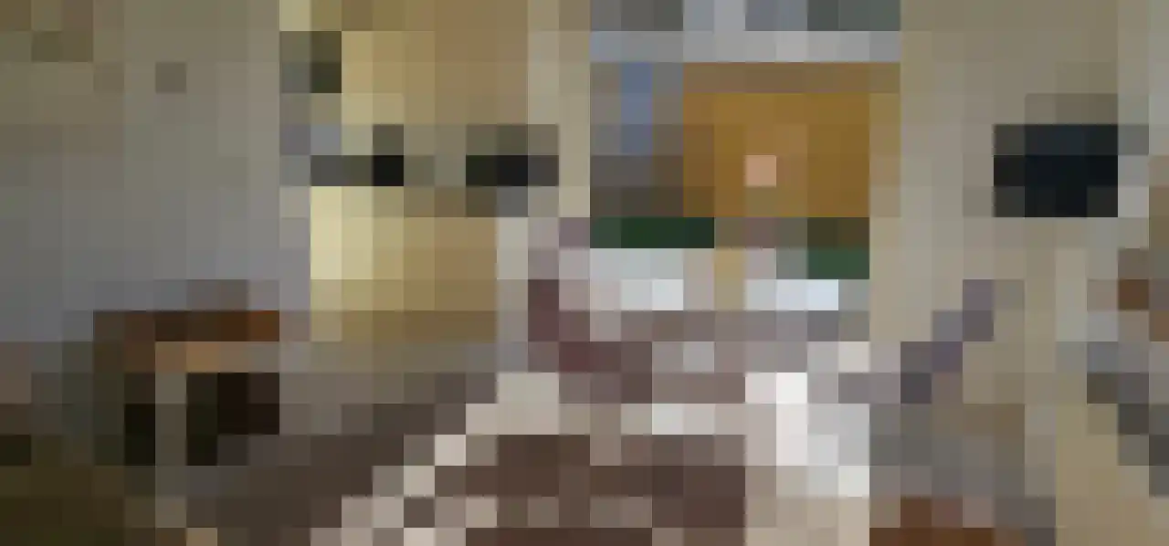 Rekerlanden 243 Warmenhuizen thumbnail 12
