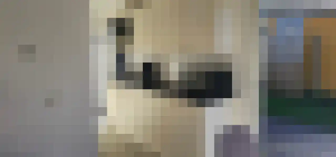 Rekerlanden 243 Warmenhuizen thumbnail 13