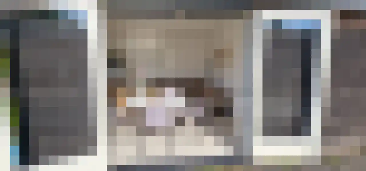 Rekerlanden 243 Warmenhuizen thumbnail 14