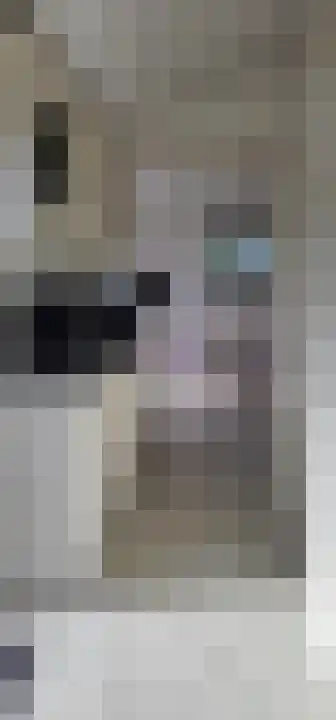 Rekerlanden 243 Warmenhuizen thumbnail 15