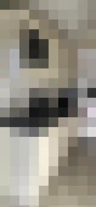 Rekerlanden 243 Warmenhuizen thumbnail 16
