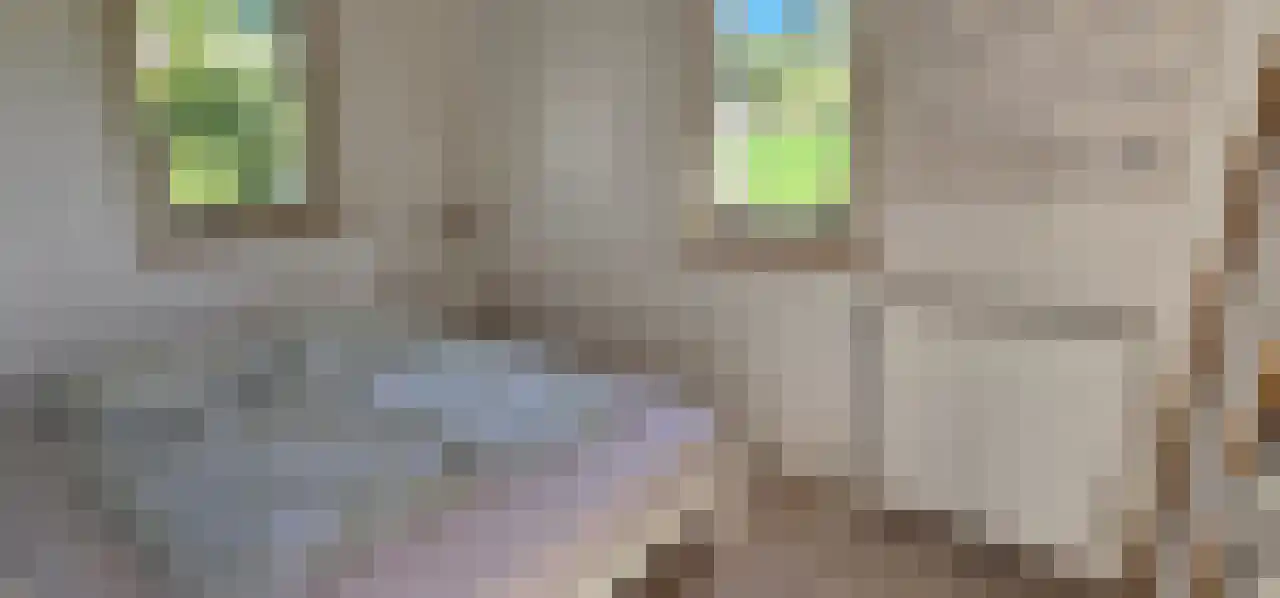 Rekerlanden 243 Warmenhuizen thumbnail 20