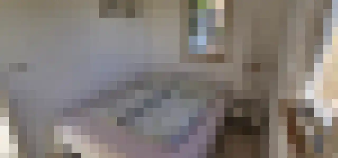 Rekerlanden 243 Warmenhuizen thumbnail 21