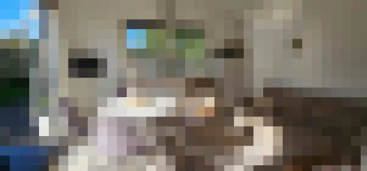 Rekerlanden 243 Warmenhuizen thumbnail 8