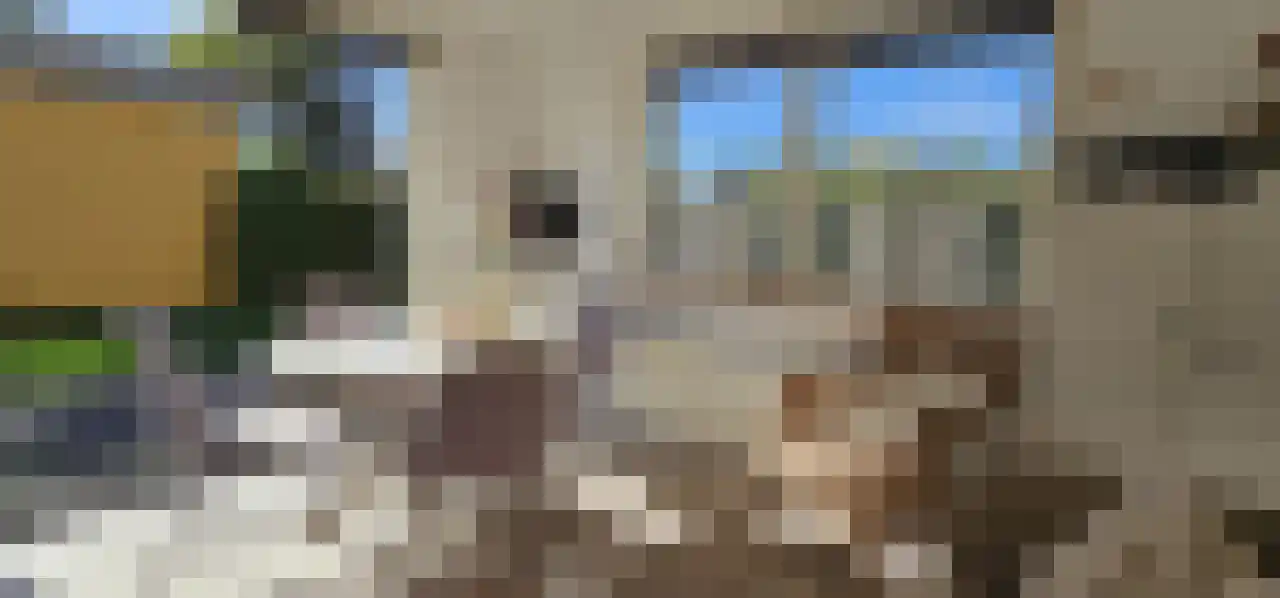 Rekerlanden 243 Warmenhuizen thumbnail 9