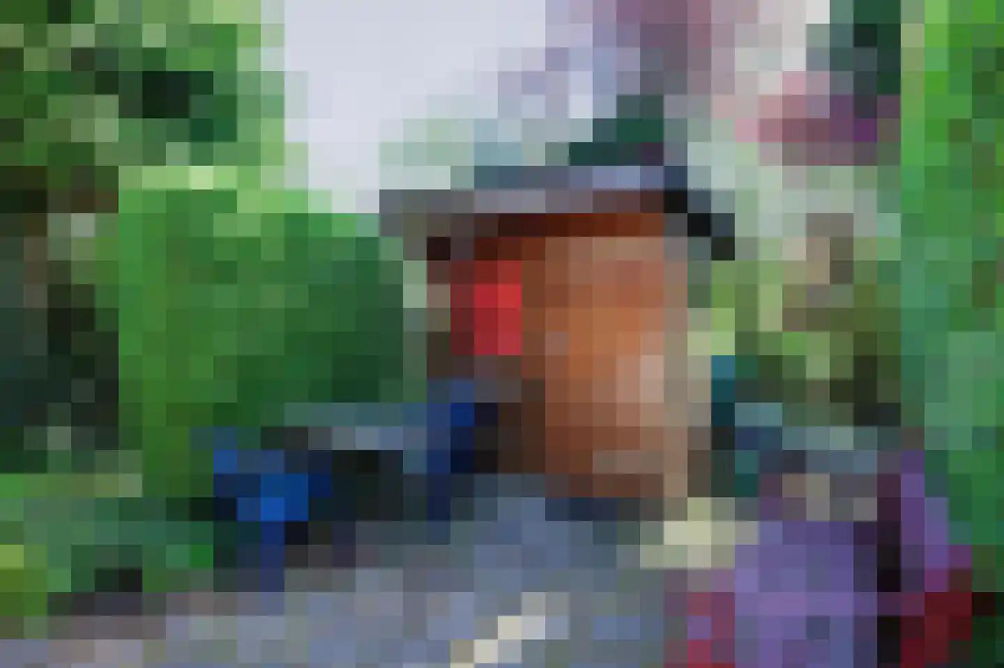 Rekerlanden 254 Warmenhuizen thumbnail 4