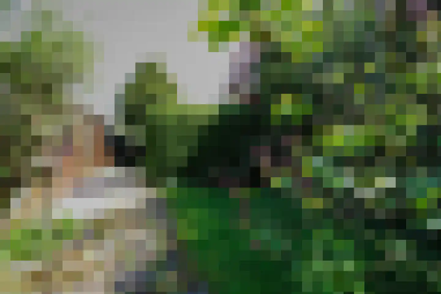 Rekerlanden 254 Warmenhuizen thumbnail 5
