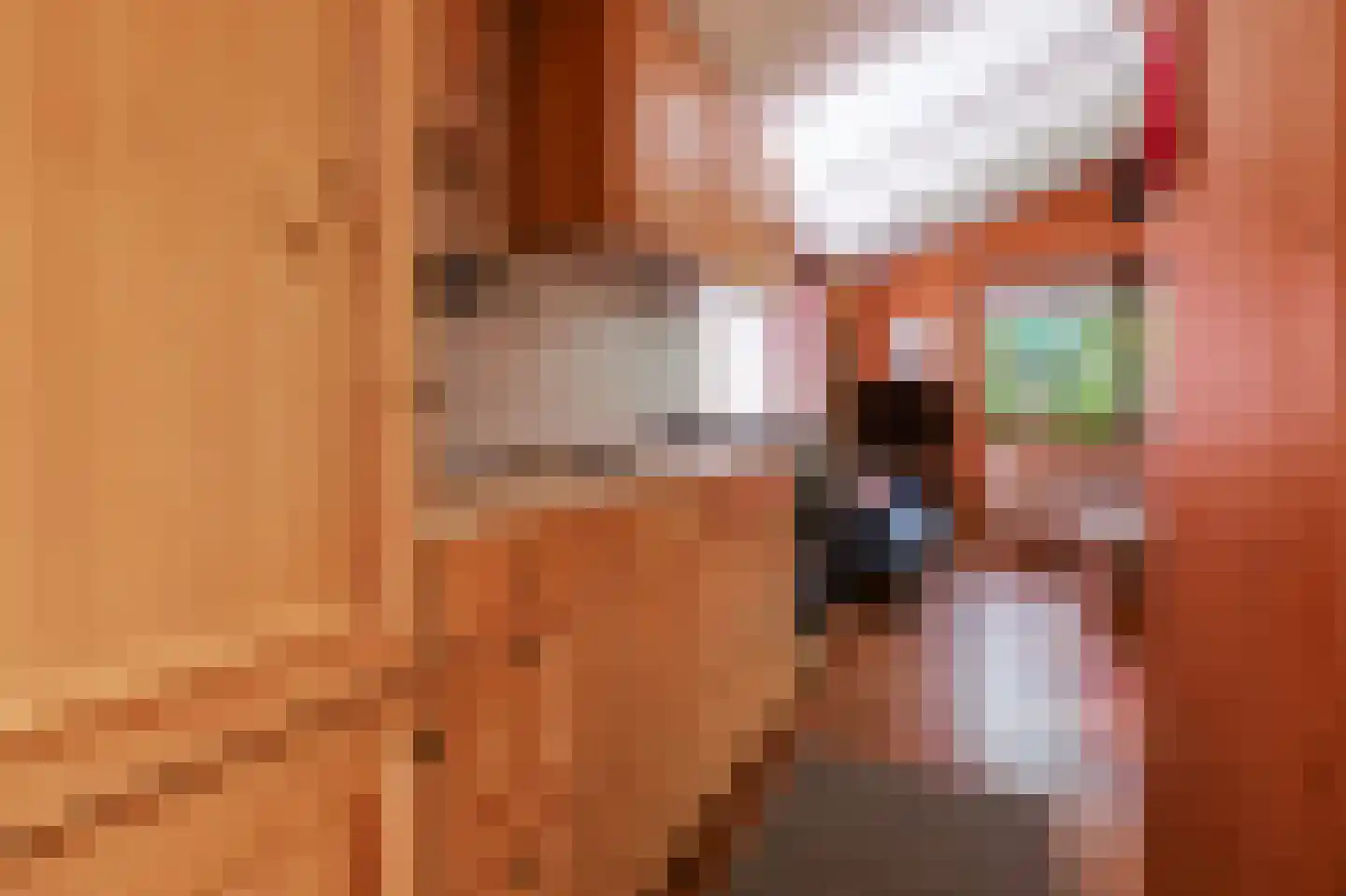 Rekerlanden 254 Warmenhuizen thumbnail 8