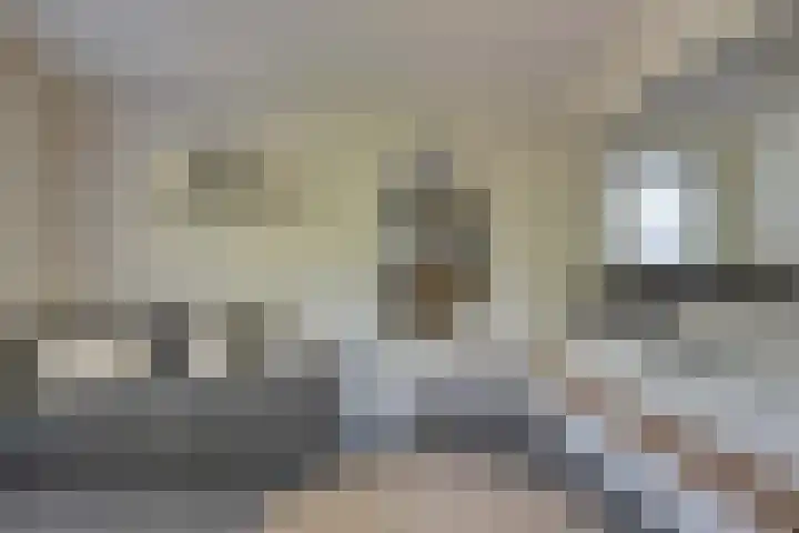 Rekerlanden 259 Warmenhuizen thumbnail 10
