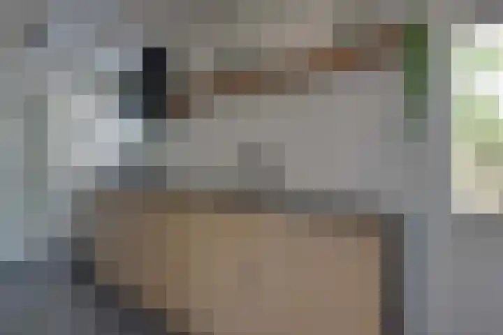 Rekerlanden 259 Warmenhuizen thumbnail 15