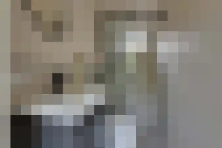 Rekerlanden 259 Warmenhuizen thumbnail 17