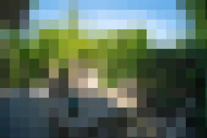 Rekerlanden 259 Warmenhuizen thumbnail 21