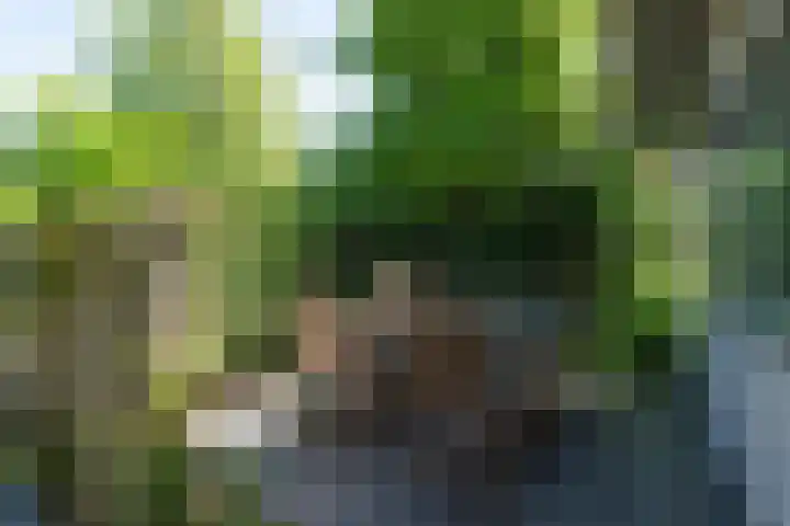 Rekerlanden 259 Warmenhuizen thumbnail 22