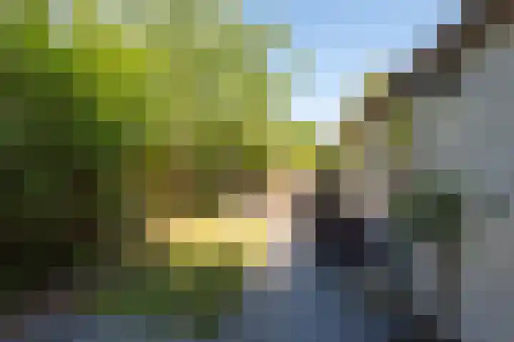 Rekerlanden 259 Warmenhuizen thumbnail 23
