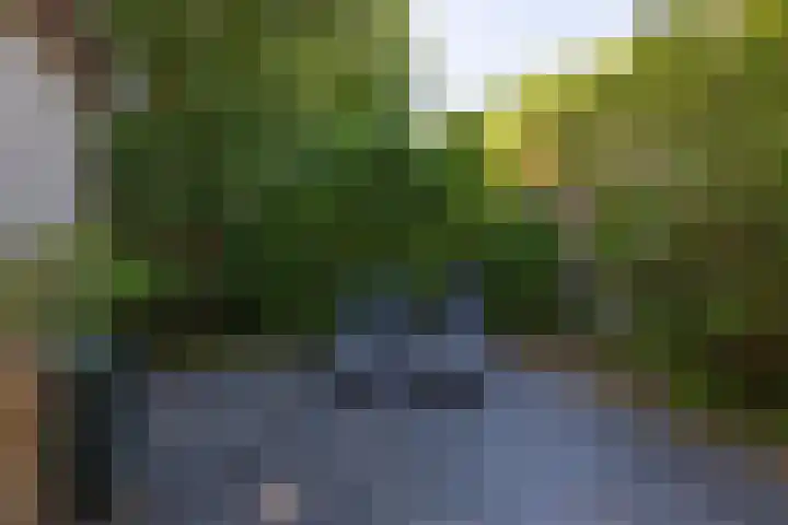 Rekerlanden 259 Warmenhuizen thumbnail 24