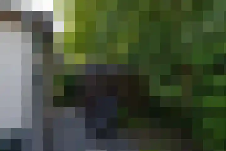 Rekerlanden 259 Warmenhuizen thumbnail 25