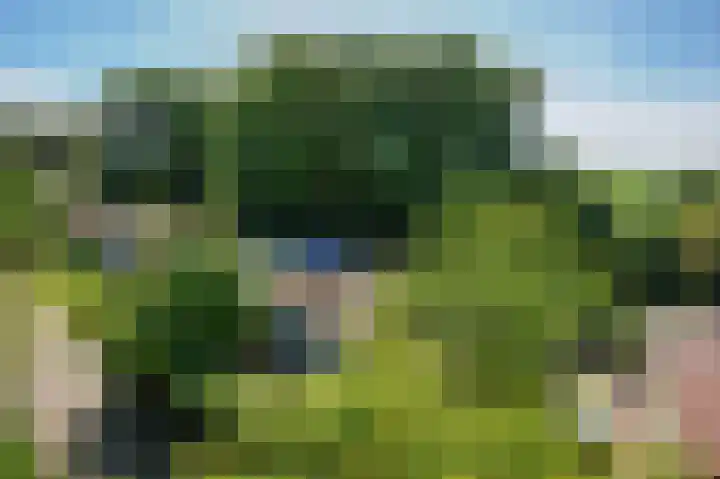 Rekerlanden 259 Warmenhuizen thumbnail 26