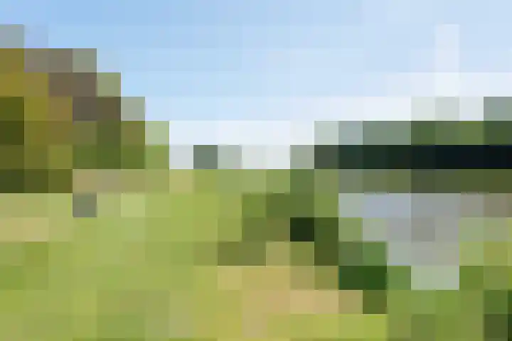 Rekerlanden 259 Warmenhuizen thumbnail 28
