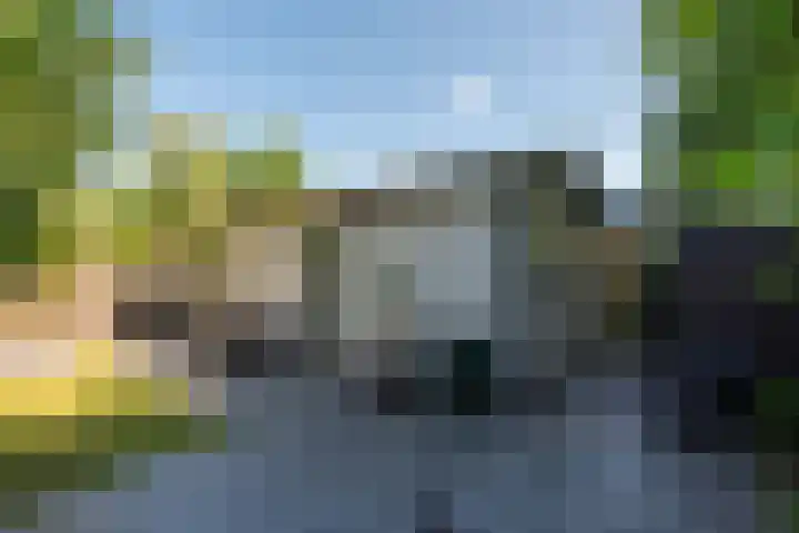 Rekerlanden 259 Warmenhuizen thumbnail 4