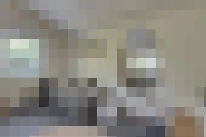 Rekerlanden 259 Warmenhuizen thumbnail 7