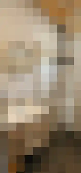 Rekerlanden 260 Warmenhuizen thumbnail 13