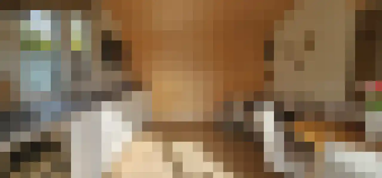 Rekerlanden 260 Warmenhuizen thumbnail 6