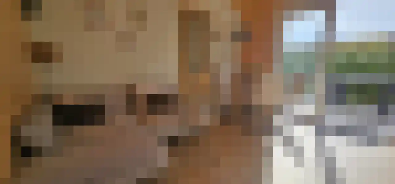 Rekerlanden 260 Warmenhuizen thumbnail 8