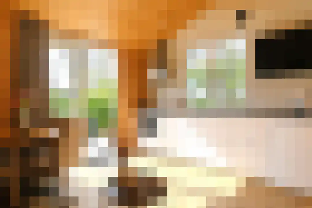 Rekerlanden 260 Warmenhuizen thumbnail 9